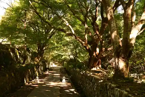 両子寺(大分県)