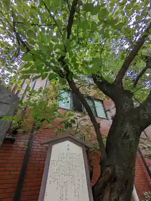 墨染寺（桜寺）(京都府)