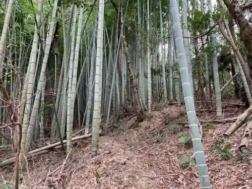浅間神社の自然
