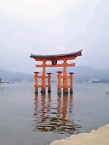 厳島神社の{uncategorized: "未分類", other: "その他", undefined: "問題あり", building: "その他建物", grave: "お墓", sacred_gate: "鳥居", guardian: "狛犬", statue: "像", buddha: "仏像", history: "歴史", nature: "自然", garden: "庭園", animal: "動物", pagoda: "塔", temizu: "手水舎", mountain_gate: "山門・神門", sanctuary: "本殿・本堂", subordinate: "末社・摂社", art: "芸術", scenery: "景色", jizo: "地蔵", ema: "絵馬", goshuin: "御朱印", omikuji: "おみくじ", items: "授与品その他", amulet: "お守り", goshuincho: "御朱印帳", eats: "食事", festival: "お祭り", votive_dance: "神楽", shichigosan: "七五三参", wedding: "結婚式", experience: "体験その他", initially: "初詣", around: "周辺", anti_infection: "感染症対策"}