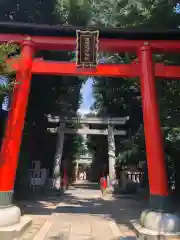 馬橋稲荷神社の鳥居