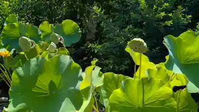 後白河院御聖蹟 法住寺(京都府)