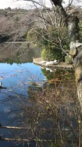 龍安寺の庭園