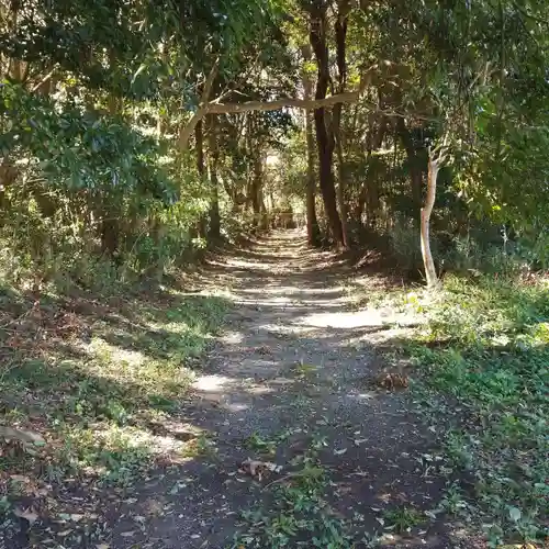 沼尾神社の自然