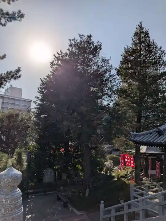 玄国寺(東京都)