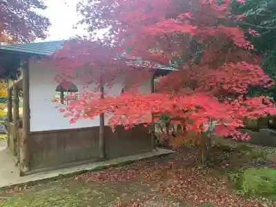 興聖寺(滋賀県)