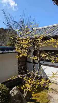 隨心院（随心院）(京都府)
