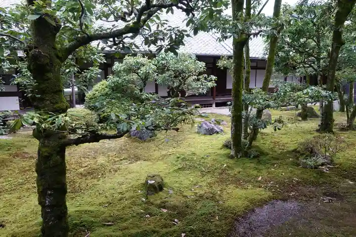 醍醐寺の庭園