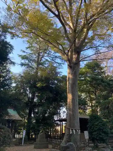 前鳥神社のその他建物