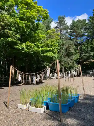 上川神社の庭園