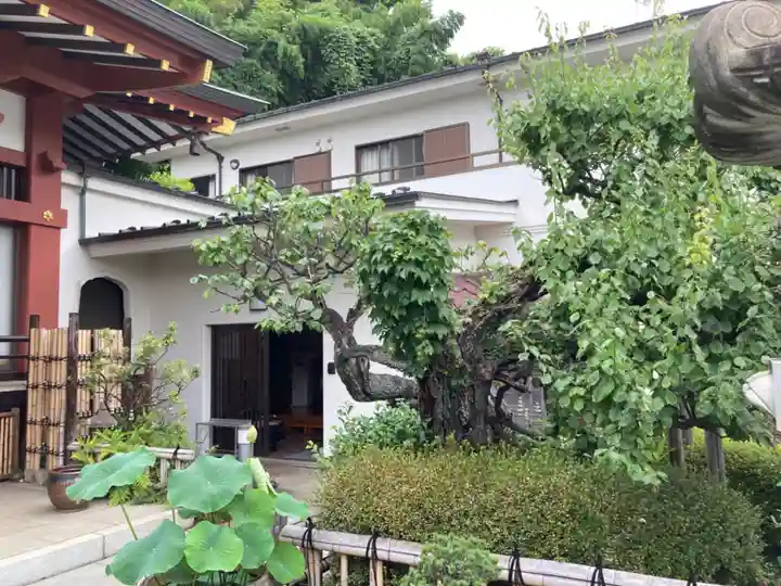 浄土宗 光明山 大蓮寺(照曜会館)(神奈川県)