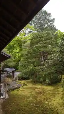 地蔵院(京都府)