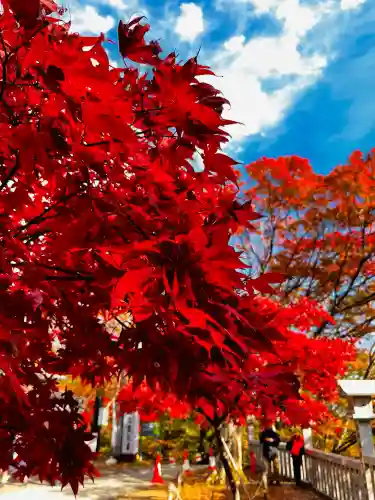 大山阿夫利神社(神奈川県)