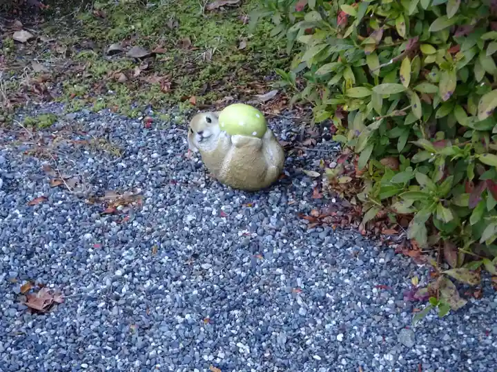 日蓮宗 総本山 塔頭 定林坊(じょうりんぼう)の狛犬