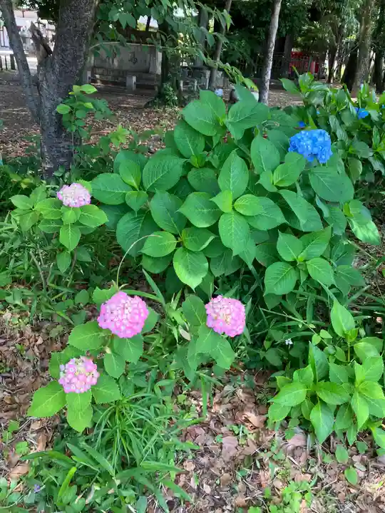 清洲山王宮 日吉神社(愛知県)