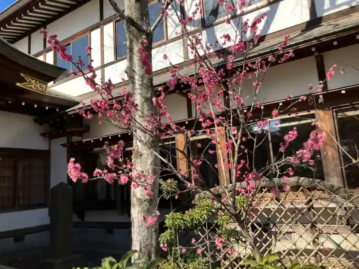 観蔵院 曼荼羅寺(東京都)