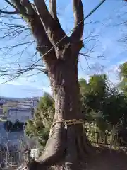 湯谷神社(山梨県)