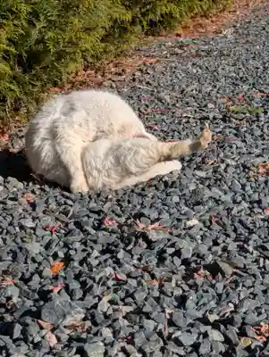 盛岡八幡宮(岩手県)