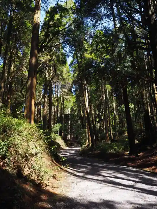 霧島神宮の自然