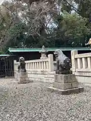 伊和都比売神社の狛犬