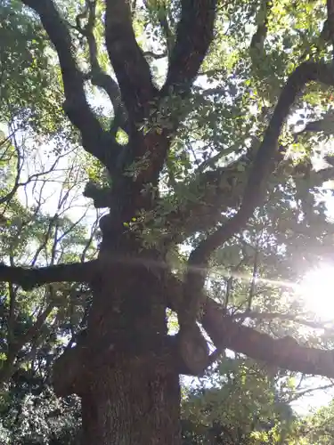 八剣宮（熱田神宮別宮）(愛知県)