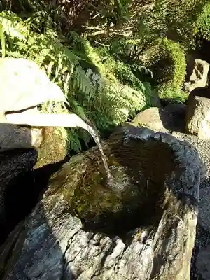貫井神社の手水舎
