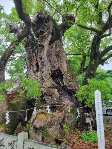八代神社(熊本県)