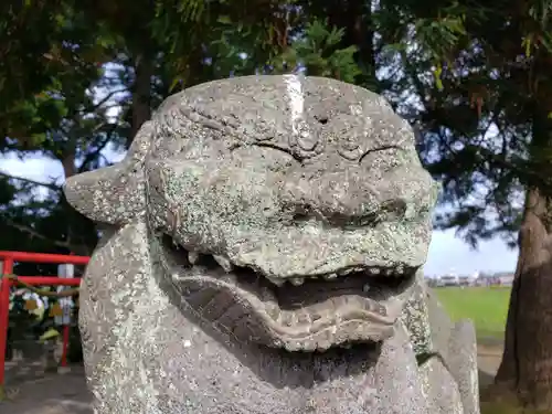 藤巻神社の狛犬