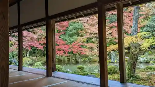 蓮華寺（洛北蓮華寺）の庭園