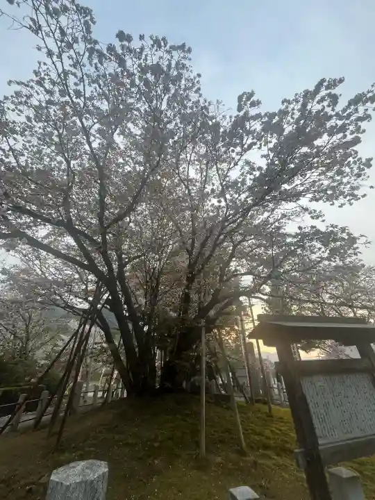 願成寺の{uncategorized: "未分類", other: "その他", undefined: "問題あり", building: "その他建物", grave: "お墓", sacred_gate: "鳥居", guardian: "狛犬", statue: "像", buddha: "仏像", history: "歴史", nature: "自然", garden: "庭園", animal: "動物", pagoda: "塔", temizu: "手水舎", mountain_gate: "山門・神門", sanctuary: "本殿・本堂", subordinate: "末社・摂社", art: "芸術", scenery: "景色", jizo: "地蔵", ema: "絵馬", goshuin: "御朱印", omikuji: "おみくじ", items: "授与品その他", amulet: "お守り", goshuincho: "御朱印帳", eats: "食事", festival: "お祭り", votive_dance: "神楽", shichigosan: "七五三参", wedding: "結婚式", experience: "体験その他", initially: "初詣", around: "周辺", anti_infection: "感染症対策"}