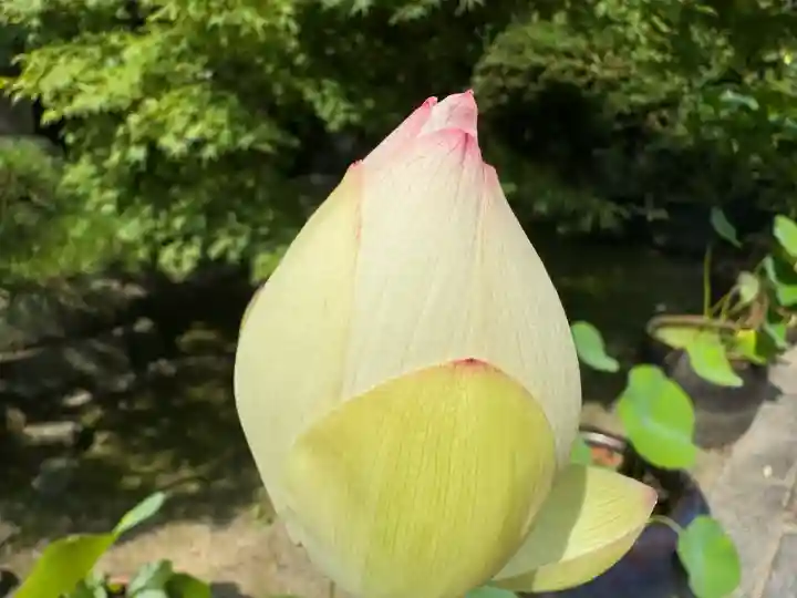伊勢の国 四天王寺(三重県)