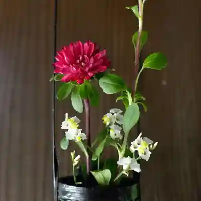 帯廣神社の手水舎