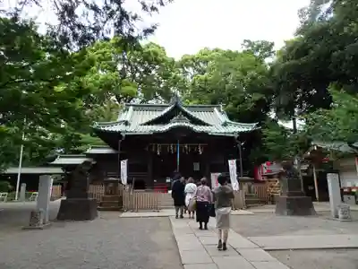 代々木八幡宮の本殿・本堂