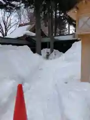 琴似神社(北海道)