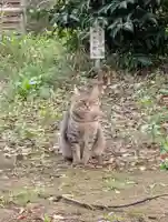 白幡八幡神社(神奈川県)