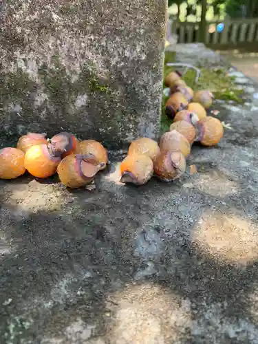 大胡神社(群馬県)