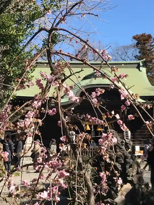 菊田神社の自然