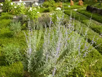 寿量山 速成寺の庭園