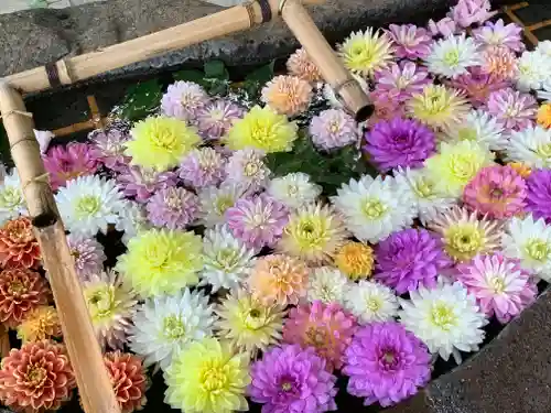 千歳神社の手水