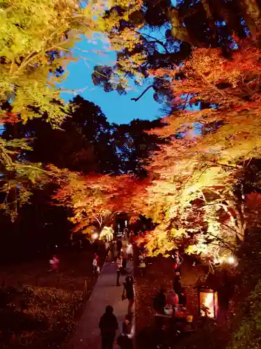 大興善寺の景色