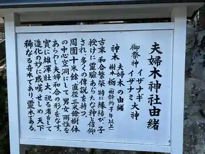 夫婦木神社(山梨県)