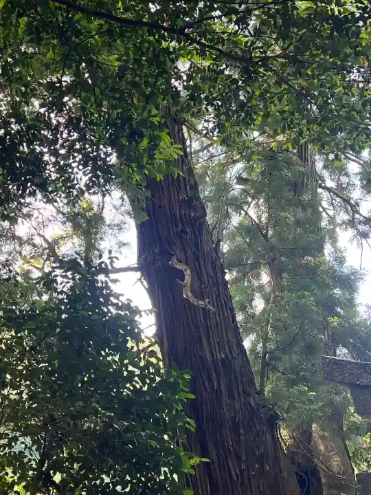高岡神社(岡山県)