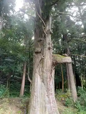 粟鹿神社(兵庫県)