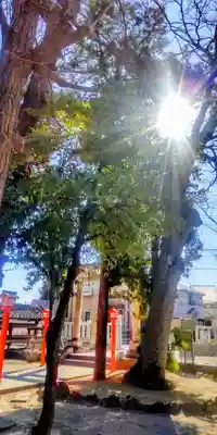 氷川神社(東京都)
