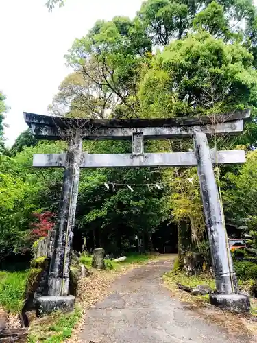 一宮神社の鳥居
