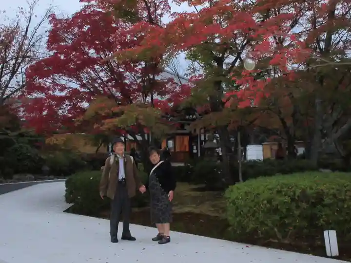 将軍塚青龍殿(青蓮院門跡)の庭園