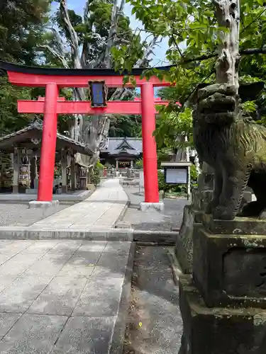 伊古奈比咩命神社の鳥居