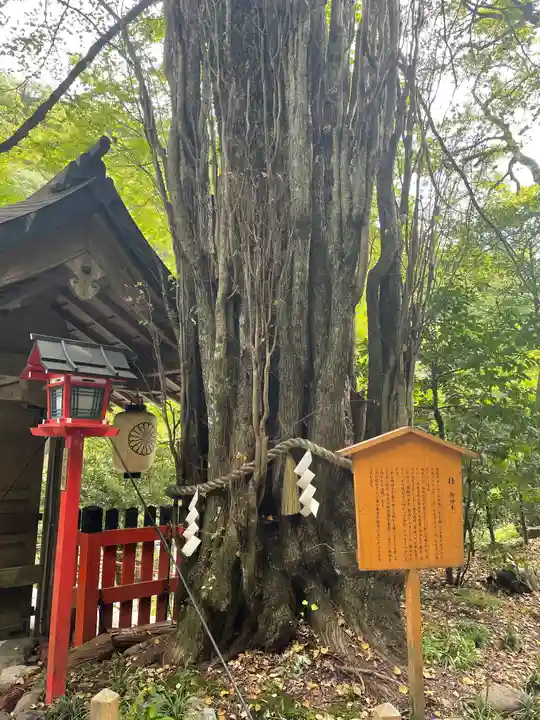 貴船神社の自然