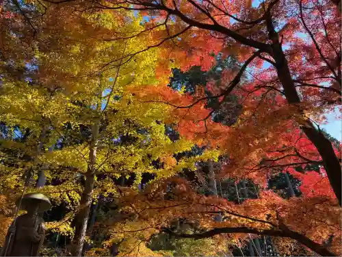 高山寺(兵庫県)