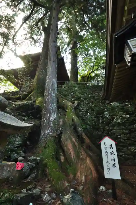 太龍寺(徳島県)